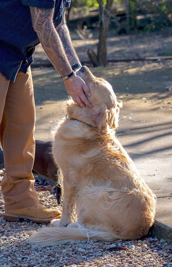 Sam Whybrow Therapist at Kaahoots animal therapy