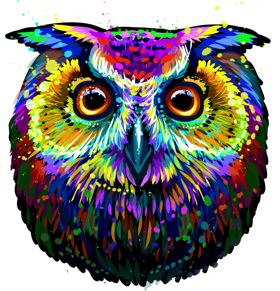 kaahoots owl